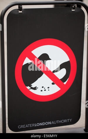 Trafalgar Square. London. England. A Greater London Sign signifying no, to feeding feral pigeons (Columba livia domest). Stock Photo