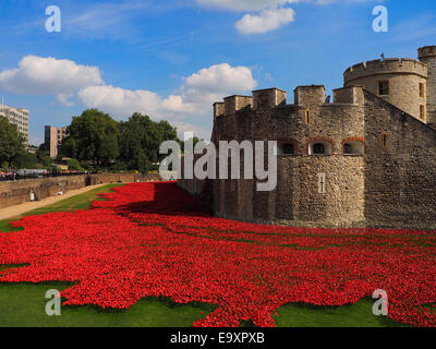 Red Poppies Art Installation at the Tower of London Moat in Commemoration of the First World War Stock Photo