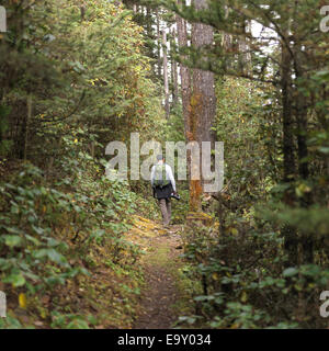 Hiker in a forest, Paro Valley, Paro District, Bhutan Stock Photo