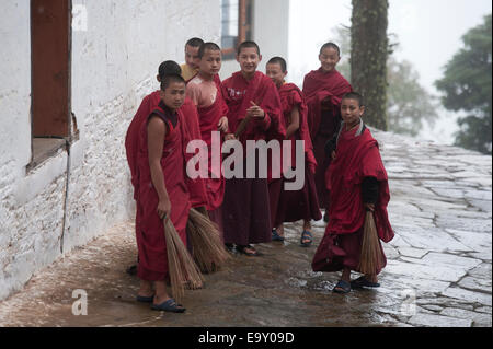 Buddhist monks sweeping at Talo Monastery, Punakha Valley, Punakha District, Bhutan Stock Photo