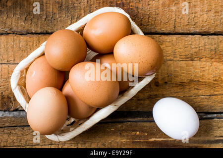Raw eggs in a wicker basket. All brown, one white. Stock Photo