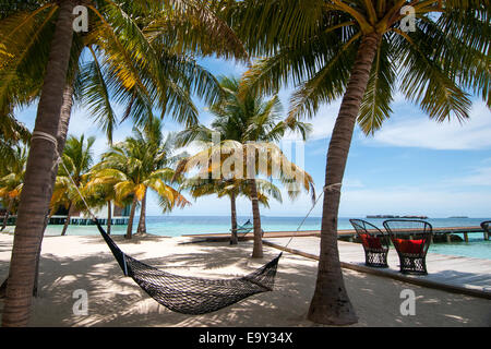 Empty hammock between palm trees on tropical beach in Maldives Stock Photo