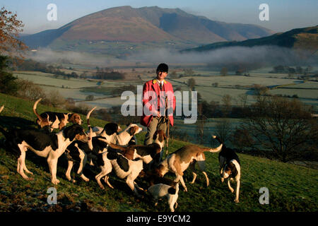 The Blencathra pack, which hunted for foxes in Cumbria using fell hounds in the Lake District, Cumbria, England. Stock Photo