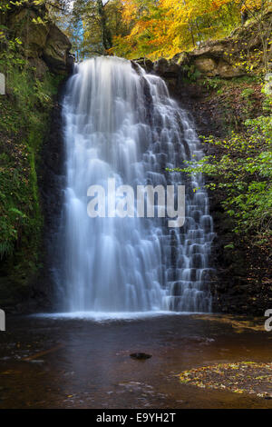 Falling Foss Waterfall, Sneaton Forest, North Yorkshire, England Stock Photo