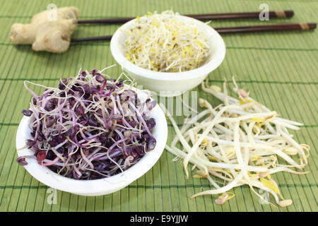 different varieties of sprouts on a bast mat Stock Photo