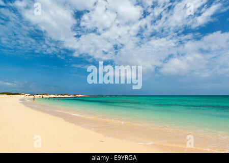 Looking north on one of the beautiful sandy beaches south of this resort town; Corralejo, Fuerteventura, Canary Islands, Spain Stock Photo