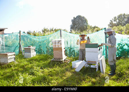 Two female beekeepers working on city allotment Stock Photo