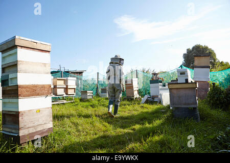 Women beekeepers working on city allotment