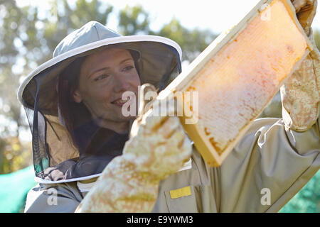 Female beekeepers holding up honeycomb tray on city allotment Stock Photo