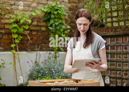 Beekeeper with 'super' from beehive using touchscreen on digital tablet Stock Photo