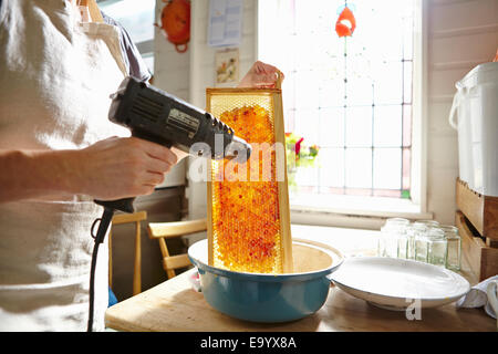 Female beekeeper in kitchen melting wax on frame of honey Stock Photo