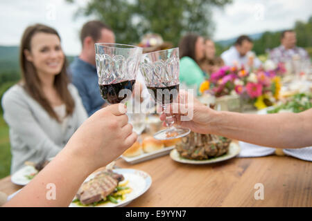 Family and friends making a toast at outdoor meal Stock Photo