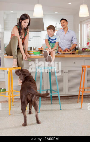 Woman sitting on kitchen counter feeding dog Stock Photo