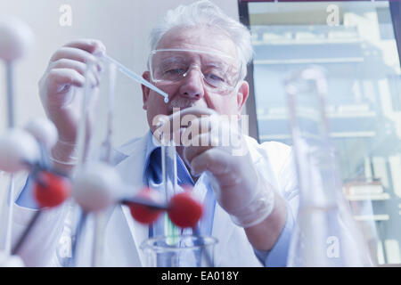 Senior scientist working at laboratory Stock Photo