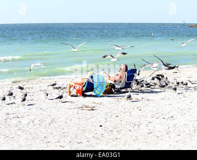 Sun bathing mature couple on surrounded by sea birds they have been feeding on Cocoa beach Florida 10th October 2014 Stock Photo
