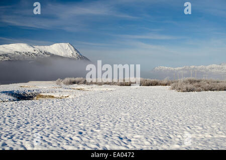 Fog, snow, bushes and mountains on-route to Girdwood, Alaska Stock Photo