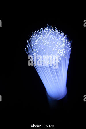 Static upright illuminated strands of fiber optic light Stock Photo