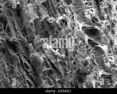 Scanning Electron Micrograph of fracture surface of stainless steel ...