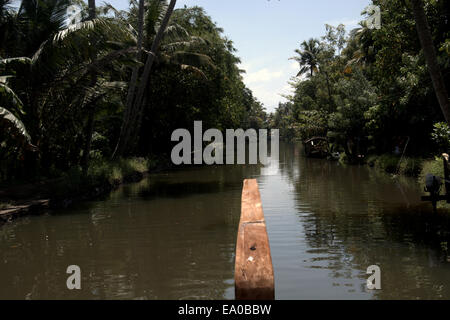 Traditional boats and canoes on the backwaters, Allepey, Kerala, India, South Asia. Stock Photo