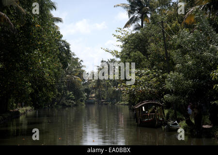 Traditional boats and canoes on the backwaters, Allepey, Kerala, India, South Asia. Stock Photo