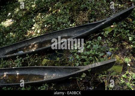 Traditional boats and canoes on the backwaters, Allepey, Kerala, India, South Asia. Stock Photo