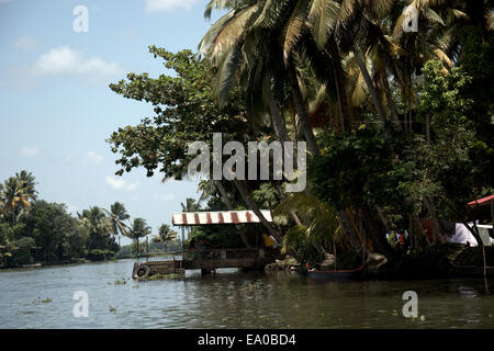 Traditional boats and canoes on the backwaters, Allepey, Kerala, India, South Asia. Stock Photo