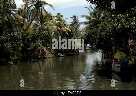 Traditional boats and canoes on the backwaters, Allepey, Kerala, India, South Asia. Stock Photo