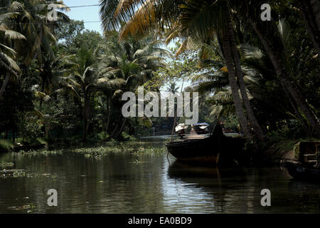 Traditional boats and canoes on the backwaters, Allepey, Kerala, India, South Asia. Stock Photo