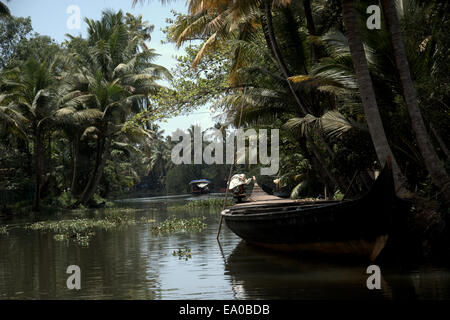 Traditional boats and canoes on the backwaters, Allepey, Kerala, India, South Asia. Stock Photo