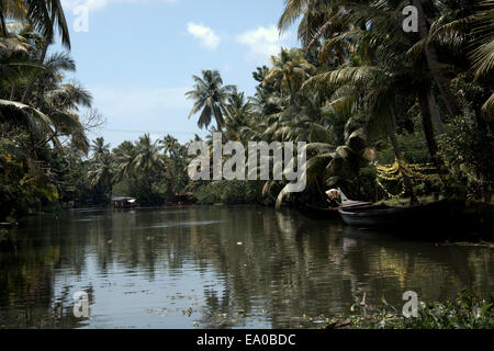 Traditional boats and canoes on the backwaters, Allepey, Kerala, India, South Asia. Stock Photo