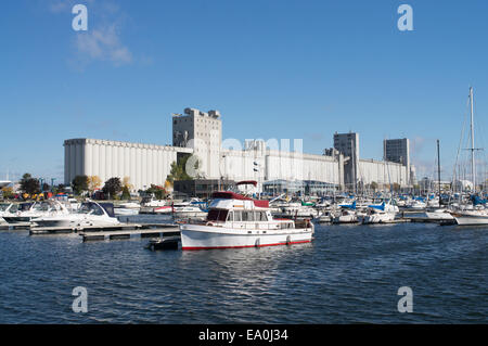 Bunge of Canada grain silos behind the marina Quebec City, Quebec, Canada Stock Photo