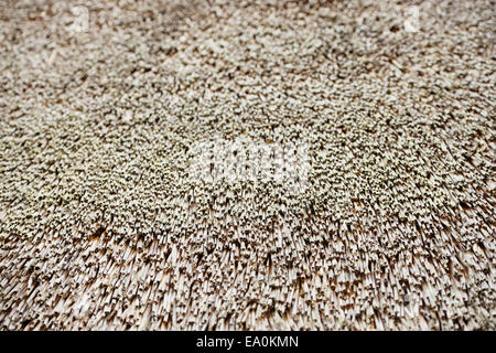 Close up of thatch roof Stock Photo