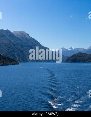 Fjord of Doubtful Sound in New Zealand Stock Photo