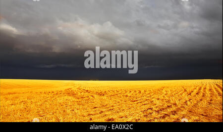 The thunder-storm in  Montana begins Stock Photo