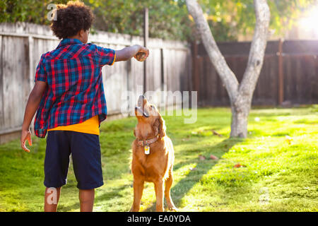 Boy holding up ball for his dog in back garden Stock Photo