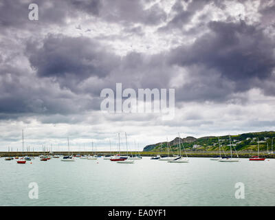 Large group of boats anchored in harbor, Howth, Dublin Bay, Republic of Ireland Stock Photo