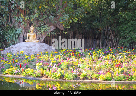 Budda Stock Photo