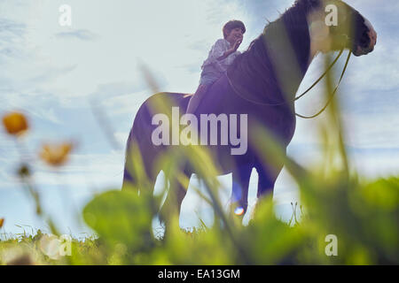 Low angle view of boy on horse Stock Photo