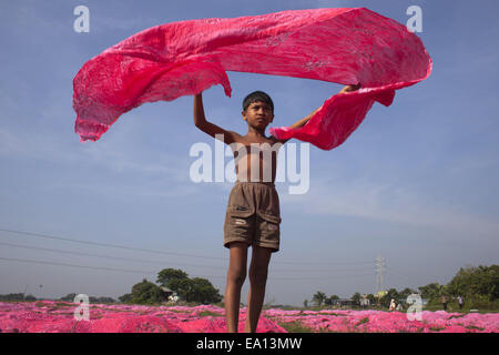 Nov. 5, 2014 - Narayangonj, Bangladesh - A boy drying dyed cloths under sun,he is helping family business..Village people in Bangladesh doing hand dyed clothing business.Taking small loan they collect raw cloths from factory,after dyed they dried them under sun and then sell them in market and they are stable now. (Credit Image: © Zakir Hossain Chowdhury/ZUMA Wire) Stock Photo