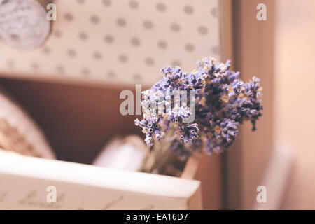 Bunch of dry lavender in decorative little shabby chic chest of drawers Stock Photo