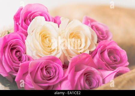 Beautiful bouquet of Ecuadorian pink and white roses Stock Photo