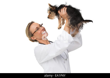 Vet lifting up yorkshire terrier and smiling Stock Photo