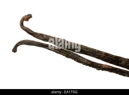 Pair vanilla seed pods in macro photo Stock Photo