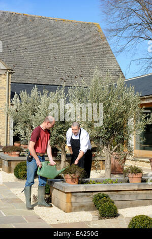 A gardener watering raised beds of herbs with the chef of a cookery school at Thyme at Southrop Manor Estate, Gloucestershire UK Stock Photo