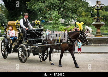 A small boy watches one of the many Horse & Carriages as it rounds Wagner Cove in Central Park, New York. Stock Photo