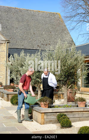 A gardener watering raised beds of herbs with the chef of a cookery school at Thyme at Southrop Manor Estate, Gloucestershire UK Stock Photo