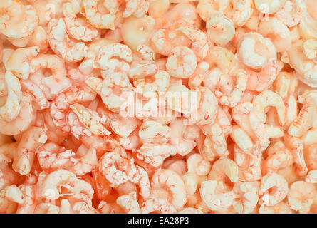 Pile of frozen shrimps in fish market. Stock Photo