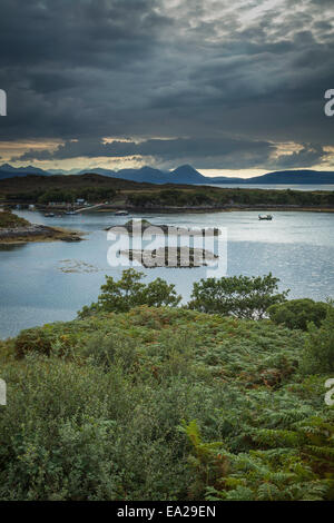 Grey seals basking on a small island on the Ard-dhubh peninsular with the Isle of Raasay and Skye in the background, Scotland Stock Photo