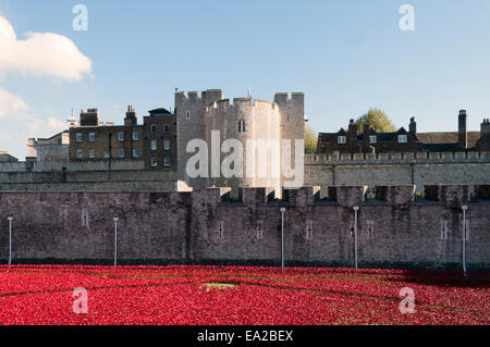 Tower of London Poppies art exhibition 2014 Stock Photo