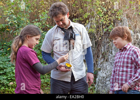 children watching man with flying fox hanging off his neck at bat centre 'Noctalis', Bad Segeberg, Schleswig-Holstein, Germany Stock Photo